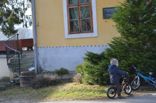 Kattints ide a teljes kép megtekintéséhez